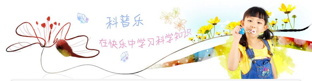 明日晨曦科普乐